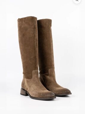 Style: Giada Over-the-Knee Suede Boots in Brown